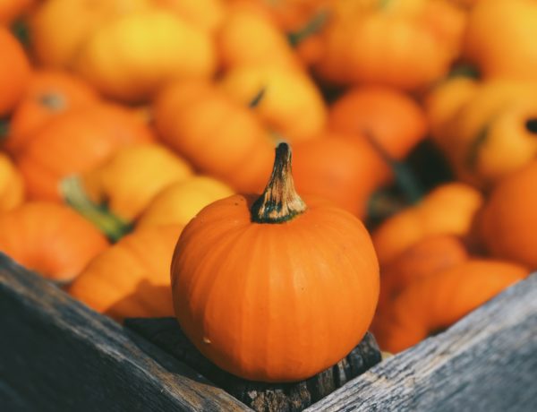 Best Nail Polish For Halloween