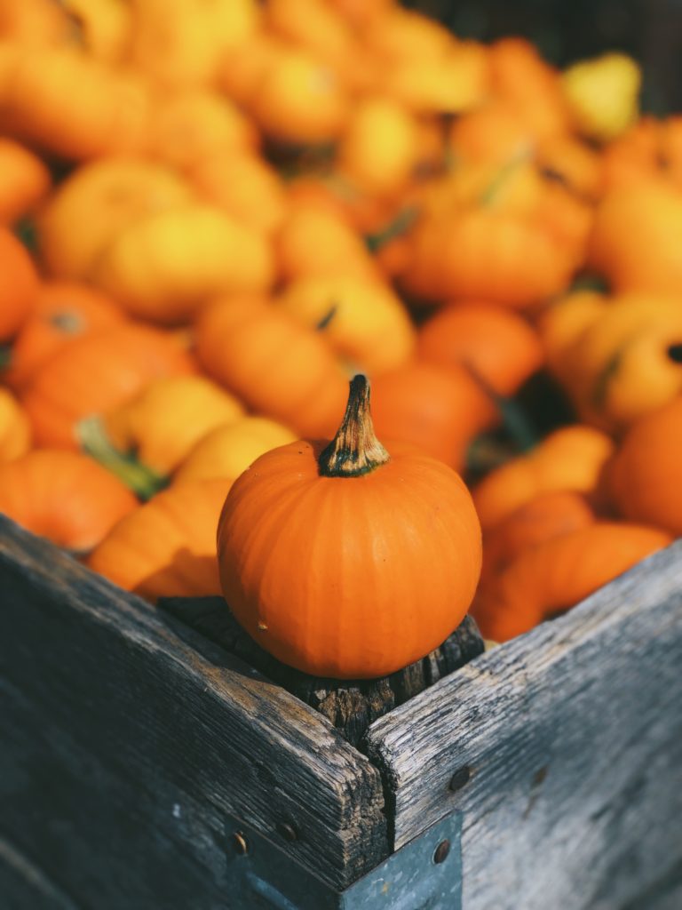 Best Nail Polish For Halloween